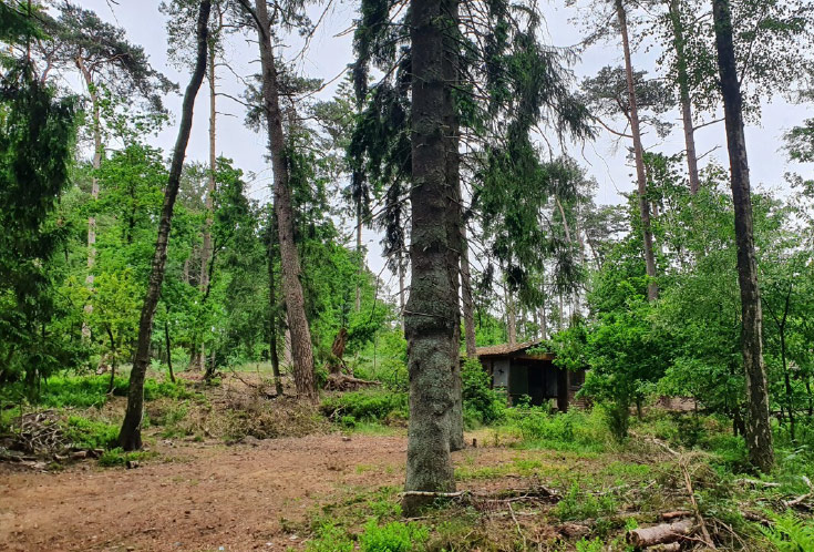 Gottesdienste, Bibellehre, christliche Projekte, Worship-Events und Fitness für Christen in Buchholz in der Nordheide / Sprötze